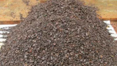 Tout comme pour le phosphate, le Togo a décidé d'exploiter lui-même le manganèse de Nayéga au nord dont la réserve est estimée à 8,5 millions