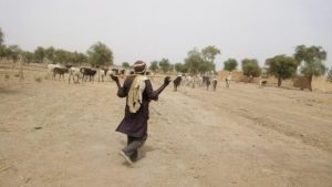 Des individus assimilés à des terroristes ont enlevé  quelques heures samedi 29 avril 2023, dans le village de Namouno 2 paysans et son bétail.