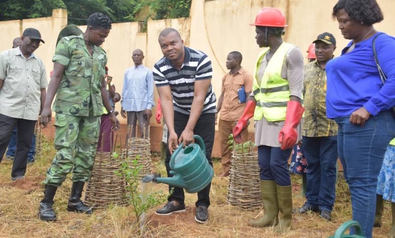 Jeudi, autour du maire Kovi Adanbounou, l'exécutif et des associations de développement ont mis en terre à Cacaveli 1000 plants.