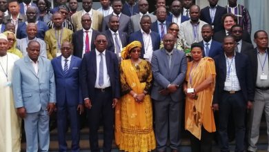 46 experts et cadres des ministères de la santé prennent part à une rencontre sur les Comptes Nationaux des Personnels de Santé (CNPS).