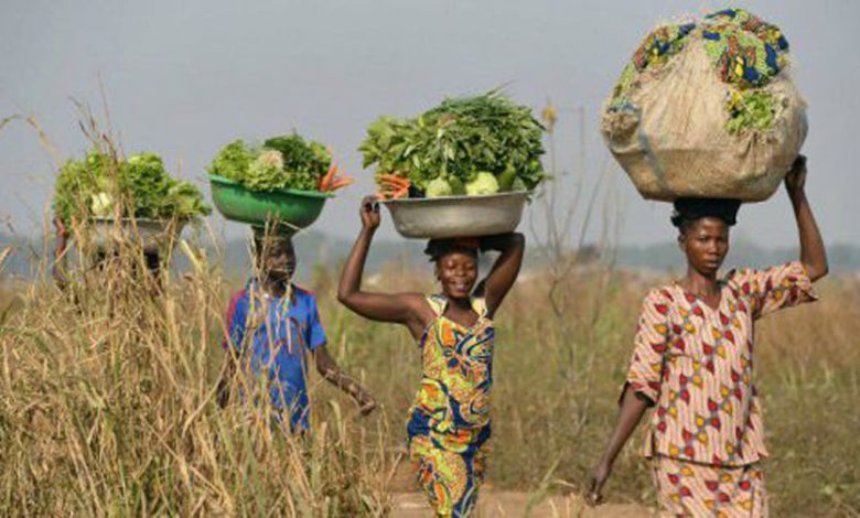 La Banque mondiale et le groupe OCP ont  procédé à la signature d'un partenariat en faveur des agriculteurs d'Afrique de l'Ouest