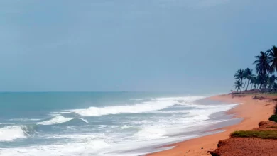 85 États ont entrepris un total de 102 actions lors de la cérémonie annuelle des traités, en particulier concernant l'Accord sur les océans.