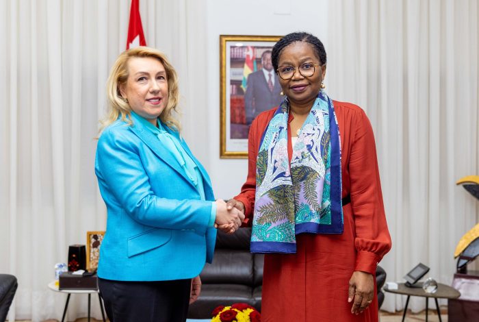 Le Premier ministre, Mme Victoire Tomégah – Dogbé s’est entretenue mardi 24 octobre 2023 avec l’ambassadeur de la République de Turquie au Togo,   Muteber Kilic. 