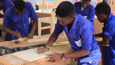 Le ministère de l'enseignement technique a lancé, la plateforme de suivi des diplômés www.inserjeunes.gouv.tg.