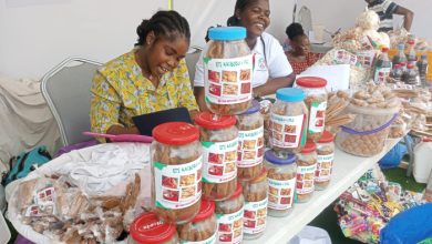 Lancé officiellement en janvier 2014 par le Chef de l’Etat, Faure Essozimna Gnassingbé, le Fonds National de la Finance Inclusive (FNFI) boucle ses dix années au service de l'inclusion socioéconomique des femmes et des jeunes.