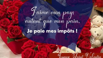 L'Office togolais des recettes (OTR) n'est pas resté en marge de la fête de l'amour  connue sous le nom de "Saint Valentin" célébrée mercredi 14 février 2024 dans le monde entier et au Togo, plus particulièrement.