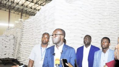 Le gouvernement togolais, à travers le ministère de l’Agriculture, de l’Elevage et du Développement Rural, a réceptionné, le 7 février 2024, à l’Agence Nationale de Sécurité Alimentaire du Togo (ANSAT) à Lomé, une cargaison de riz blanc en provenance du Japon. C’est un don d’une quantité de 3638 tonnes, dont la valeur financière est estimée à 250 millions de Yens japonais, soit environ 1 milliard 250 millions de FCFA.